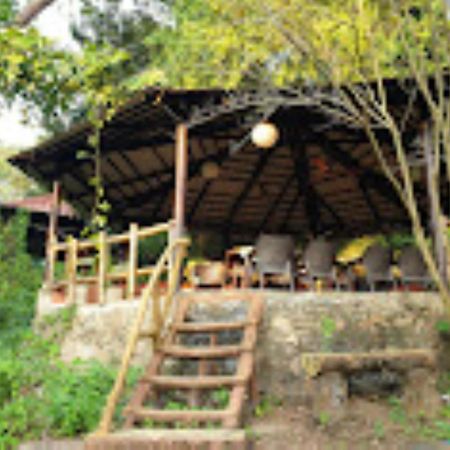 Brahmaputra Jungle Resort Guwahati Exteriör bild