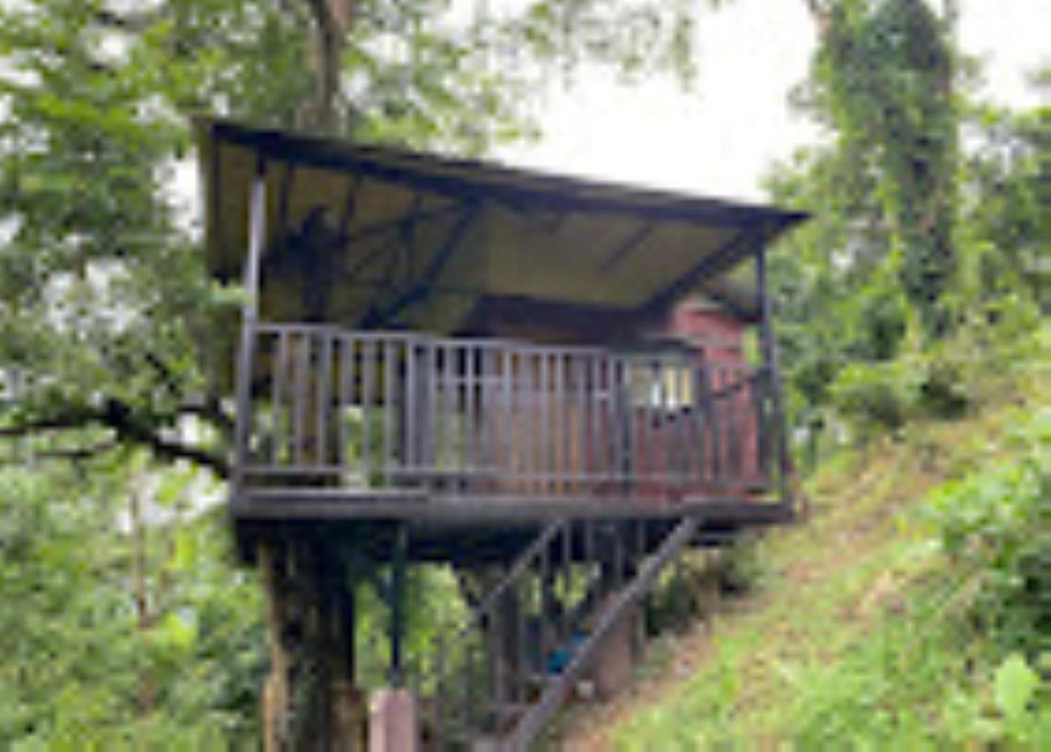 Brahmaputra Jungle Resort Guwahati Exteriör bild