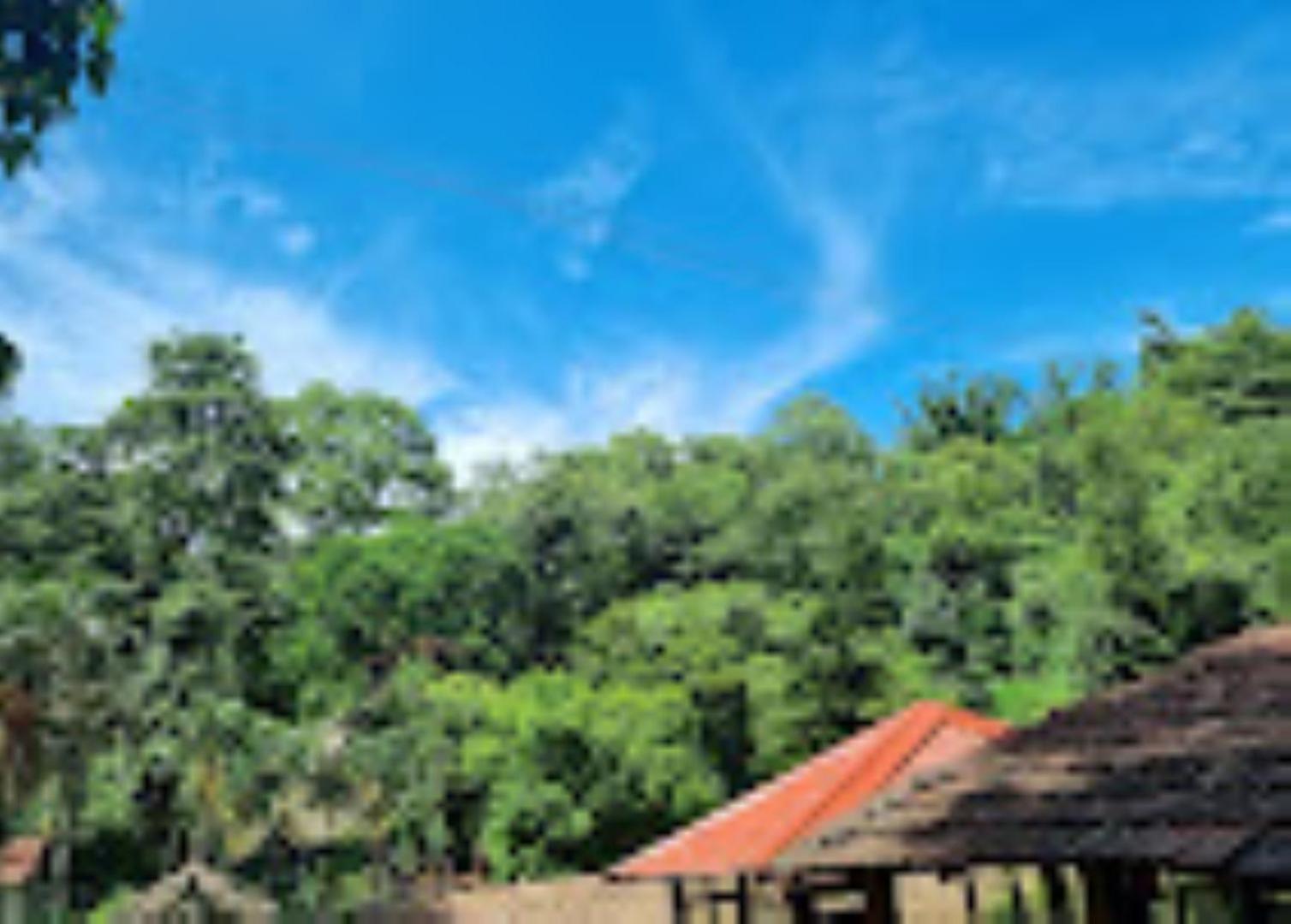 Brahmaputra Jungle Resort Guwahati Exteriör bild