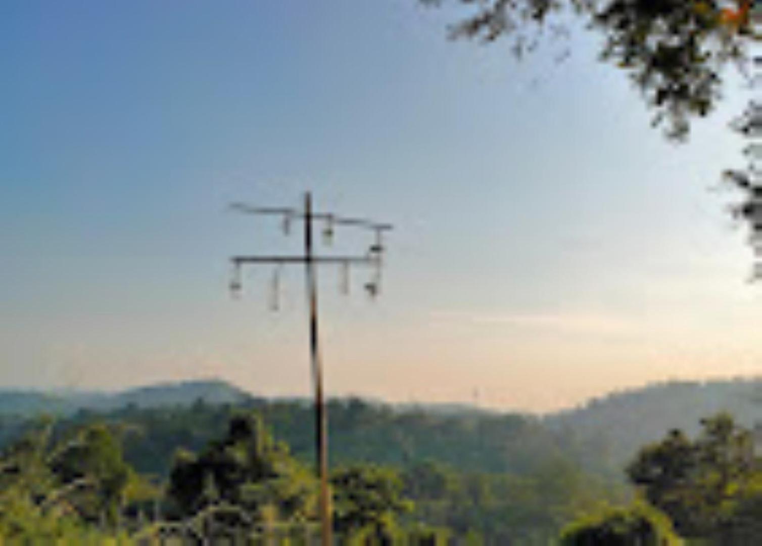 Brahmaputra Jungle Resort Guwahati Exteriör bild