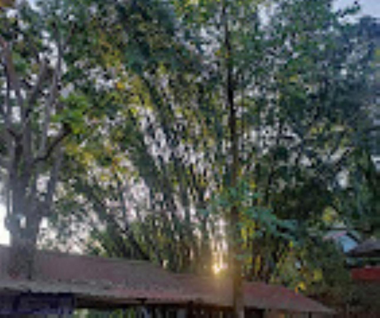 Brahmaputra Jungle Resort Guwahati Exteriör bild