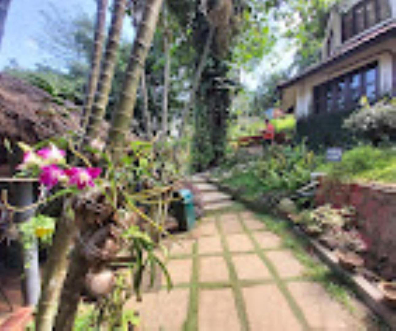 Brahmaputra Jungle Resort Guwahati Exteriör bild