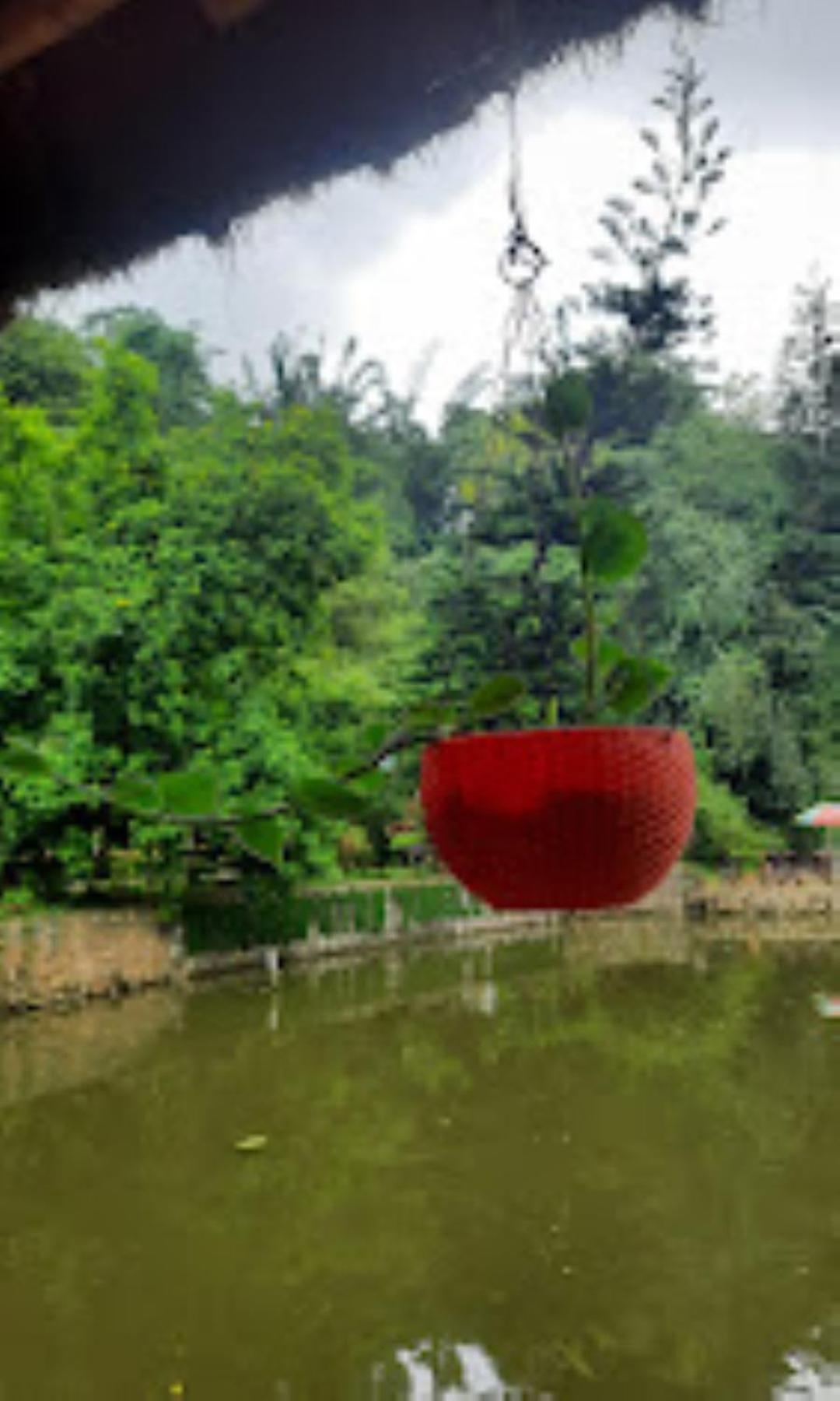 Brahmaputra Jungle Resort Guwahati Exteriör bild