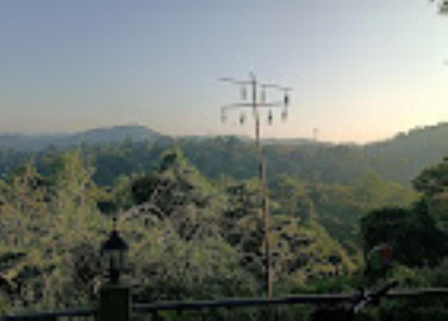 Brahmaputra Jungle Resort Guwahati Exteriör bild