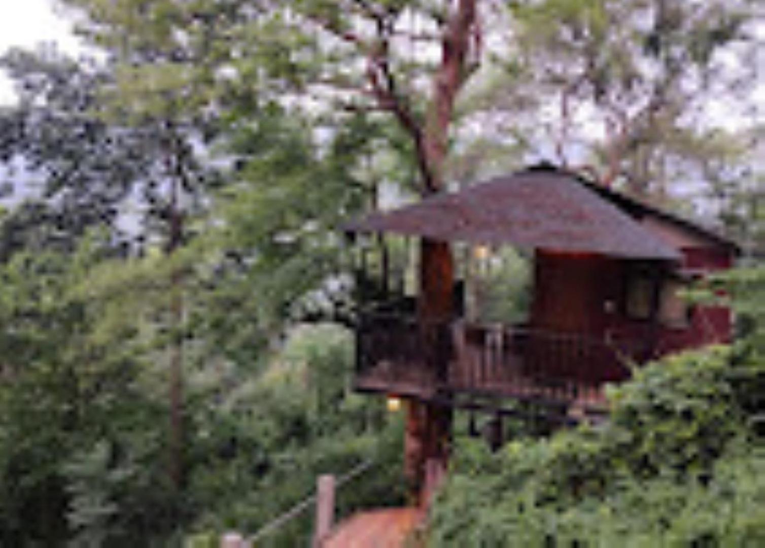Brahmaputra Jungle Resort Guwahati Exteriör bild